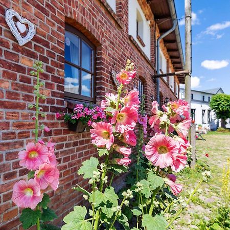 Ostsee Bauernhof Schwalbennest Ofc 15 Steffenshagen 외부 사진