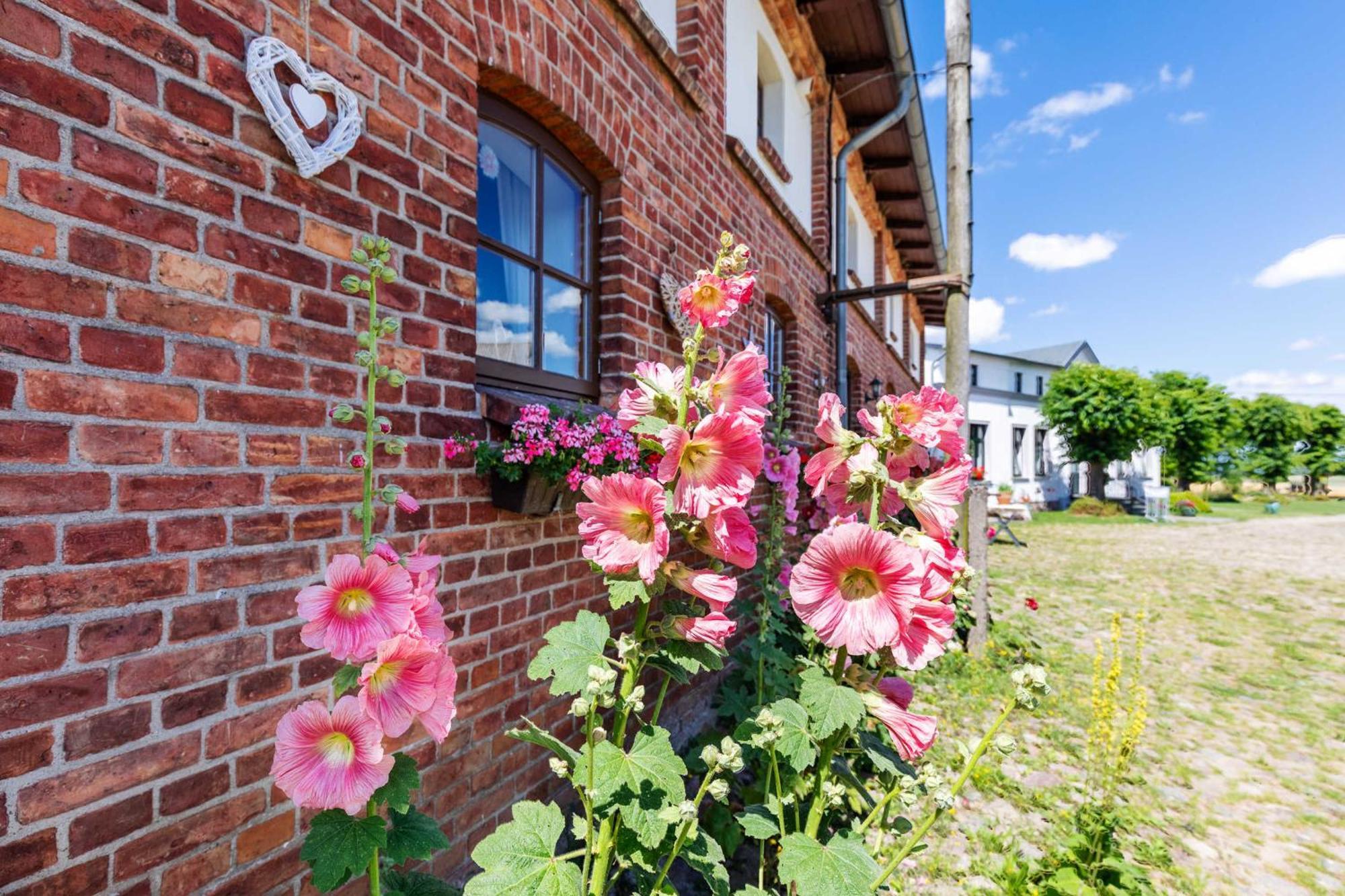 Ostsee Bauernhof Schwalbennest Ofc 15 Steffenshagen 외부 사진